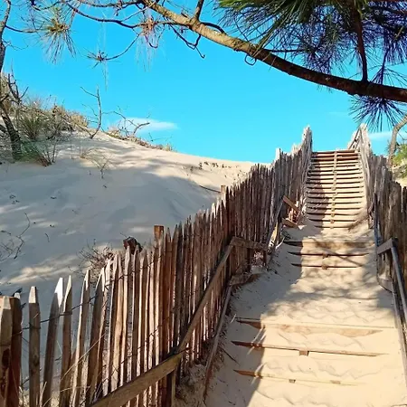 Apartment Palombe By Interhome