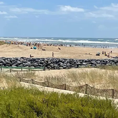 Palombe By Interhome Apartment Mimizan