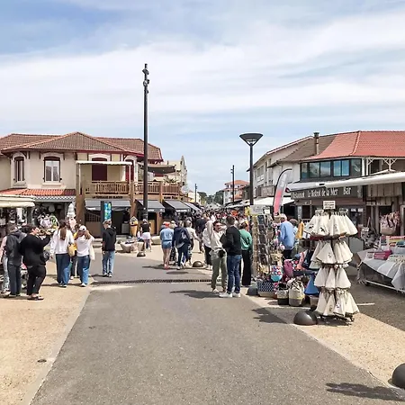 Palombe By Interhome Apartment