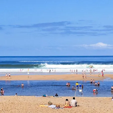 Palombe By Interhome Apartment