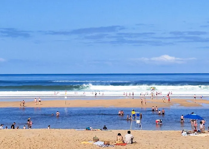 Palombe By Interhome Daire